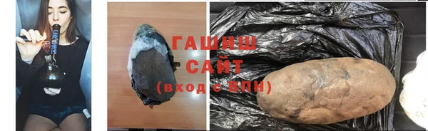 прущие грибы Няндома