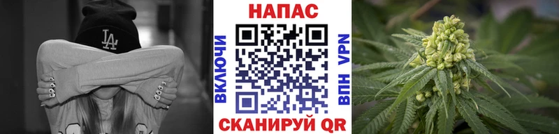 цена   Липки  Каннабис гибрид 